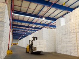 Grupo “Celulose e Papel” foi um dos principais destaques nas exportações de janeiro a junho - Divulgação