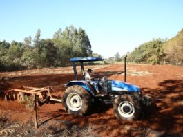 Produtores rurais da Aldeia Jaguapiru têm sido contemplados com o preparo do solo para culturas de subsistência - Foto: A. Frota