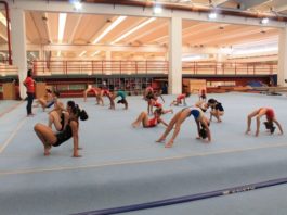 Curso visa o fortalecimento da ginástica artística douradense em nível estadual e nacional - Divulgação