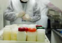 Banco de Leite do Humap está precisando de doações