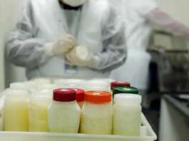 Banco de Leite do Humap está precisando de doações