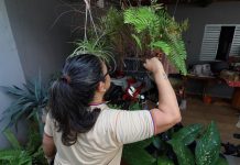 Contra o mosquito, todos do mesmo lado: MS realiza ‘Dia D’ de Combate à Dengue