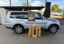 Traficante se passar por auditor do TCE e é preso pelo DOF com 70 quilos de maconha