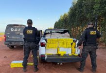 Traficante transportando mais de R$ 2 milhões em maconha é preso pelo DOF