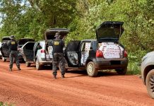 Comboio de quatro veículos abarrotados de contrabando e apreendido pelo DOF