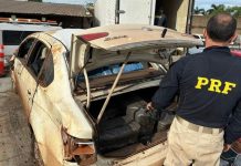 Após perseguição, PRF apreende quase 1,5 tonelada de maconha e prende dois