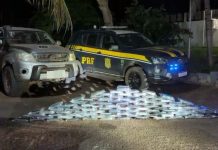 PRF apreende 101 quilos de cocaína e causa prejuízo milionário ao tráfico