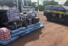 Condutor de caminhão é preso pela PRF com quase meia tonelada de skunk e cocaína