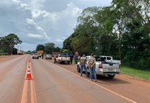 Piracema em MS: Imasul amplia fiscalização para proteger reprodução dos peixes