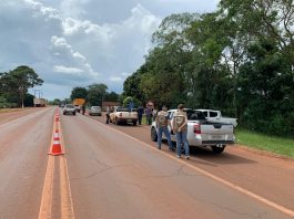 Piracema em MS: Imasul amplia fiscalização para proteger reprodução dos peixes