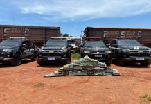 FICCO/MS apreende 100 quilos de cloridrato de cocaína em caminhão com carga de minério