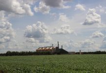 Com alta de 23,6%, Valor Bruto da Produção Agropecuária de MS chega a R$ 76,3 bi