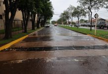 Ações preventivas da prefeitura reduzem quedas de árvores e alagamentos durante temporal em Dourados