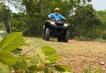 Trilha da Guavira em Bonito marca a temporada da fruta e celebra a conexão com a natureza