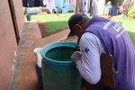 Dengue: MS registra 14 casos confirmados e nenhum óbito foi registrado em 2026