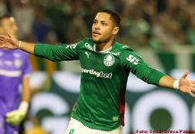 Palmeiras vence Fluminense, mantém invencibilidade e lidera o Brasileirão