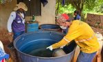 Chikungunya avança em Dourados, com 6,3 mil notificações e 2,1 mil casos confirmados