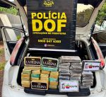 Cocaína avaliada em mais de R$ 3 milhões é apreendida pelo DOF