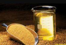 Avanço do biodiesel reposiciona soja e amplia oportunidades no agro de MS