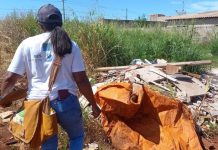 SES divulga 1º LIRAa de 2026 e detalha risco de arboviroses em cidades de MS