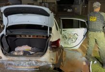 DOF apreende veículo com mais de R$ 3 milhões em drogas; condutor é preso