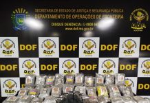 Traficante em veículo com quase R$ 400 mil em drogas é preso pelo DOF