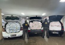 Veículos abarrotados de cigarros são apreendidos pelo DOF