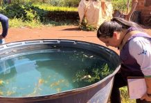 Prefeitura de Dourados vistoria mais 1.560 imóveis e alerta que Chikungunya exige mobilização popular