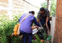 Chikungunya leva Marçal a decretar situação de calamidade em saúde pública