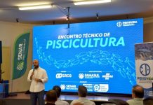 Piscicultura avança em MS com produção recorde e mais incentivos ao setor