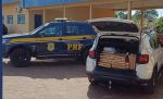 PRF apreende quase 400 quilos de maconha em veículo e prende condutor
