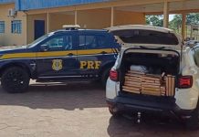 PRF apreende quase 400 quilos de maconha em veículo e prende condutor