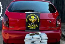 Traficante com 64 quilos de maconha em veículo é preso pelo DOF