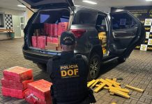 Foragido da justiça com mais de R$ 3 milhões em drogas em veículo roubado é preso pelo DOF