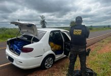 Após perseguição, DOF prende traficante com 700 quilos de maconha