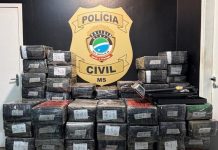 Polícia Civil apreende mais de 1,5 tonelada de maconha em veículo furtado