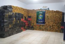 PM apreende 3,6 toneladas de maconha escondidas em tanque agrícola em MS