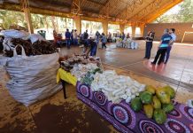 Prefeitura supera 100 toneladas de alimentos distribuídos nas aldeias através do PAA Indígena