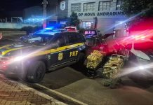 Traficante com mais de meia tonelada de maconha em veículo é preso em ação conjunta PRF e PM