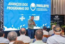 Políticas do Governo de MS para o agro alcançam êxito com avanços da cadeia do leite sul-mato-grossense