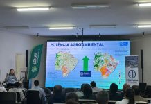 MS se consolida como potência na piscicultura e projeta salto na industrialização da tilápia