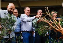 Para fortalecer citricultura, Riedel participa de remoção simbólica de murtas na Expogrande