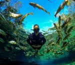 Recanto Ecológico Rio da Prata é eleito o melhor atrativo turístico do Brasil em prêmio do Estadão