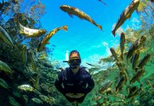 Recanto Ecológico Rio da Prata é eleito o melhor atrativo turístico do Brasil em prêmio do Estadão