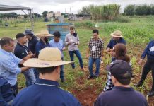 MS Irriga fortalece qualificação técnica e impulsiona uso sustentável da água no campo