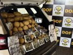 Traficante com mais de R$ 1,4 milhão em drogas em veículo furtado é preso pelo DOF