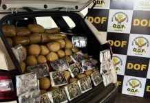 Traficante com mais de R$ 1,4 milhão em drogas em veículo furtado é preso pelo DOF
