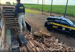 Quatro são presos e mais de uma tonelada de maconha é apreendida pela PRF
