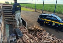 Quatro são presos e mais de uma tonelada de maconha é apreendida pela PRF