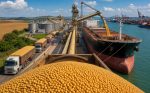 Exportações de soja de MS crescem 59% em abril e superam desempenho nacional